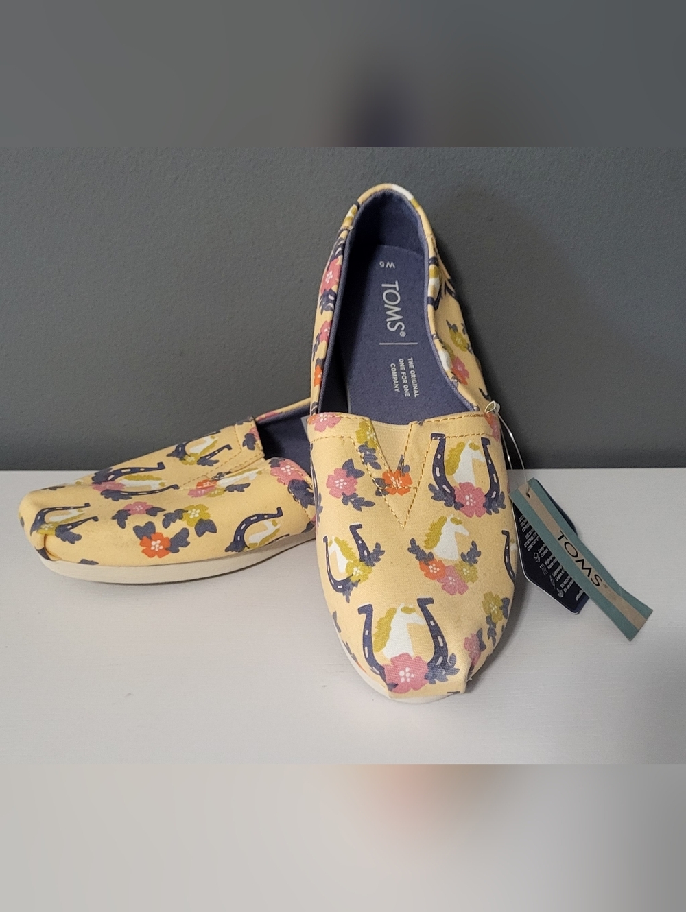 NWT TOMS Canvas Slip-Ons (Size 5)